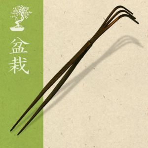 Bonsai hark met pincet