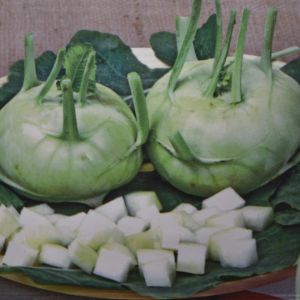 Koolrabi Zaad Lanro
