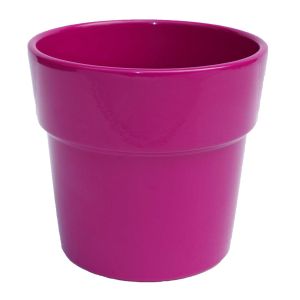 Orchidee Pot Rim Roze 13.5 cm