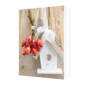 Wenskaart Birdhouse