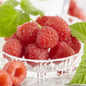 Framboos Malling Promise Rubus idaeus